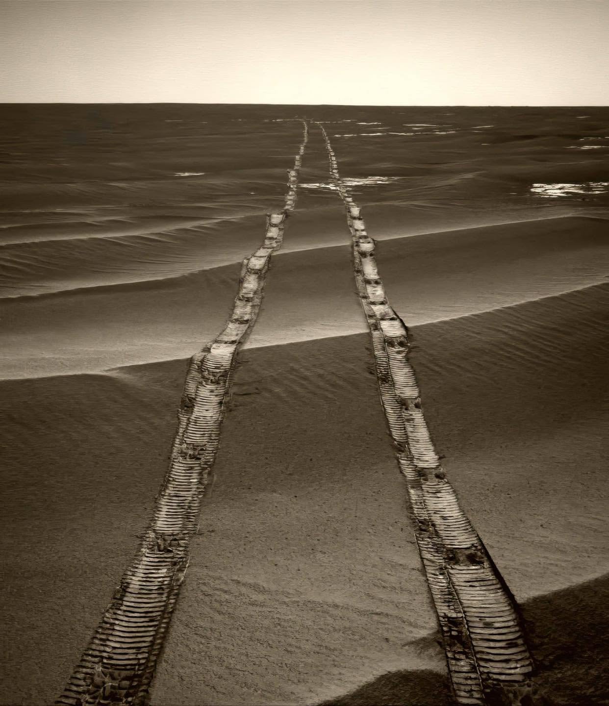 Opportunity tracks